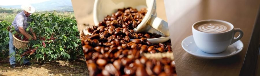 Forexpros coffee