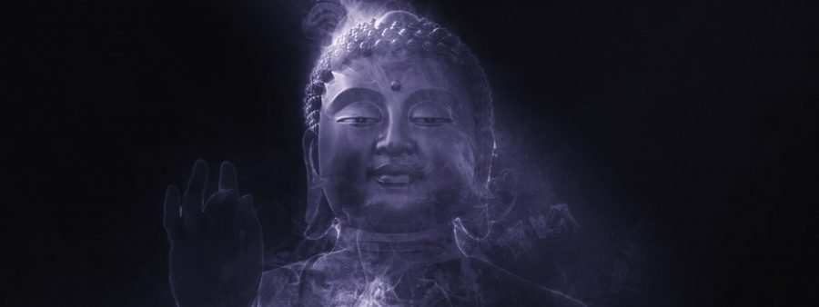El Enigma del Café de Java: Orígenes, Propiedades y el Aroma que Enamora Meditación Zen 7