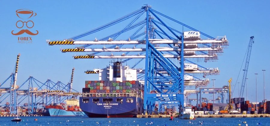 Expor a USA, exportacion, importar cafe