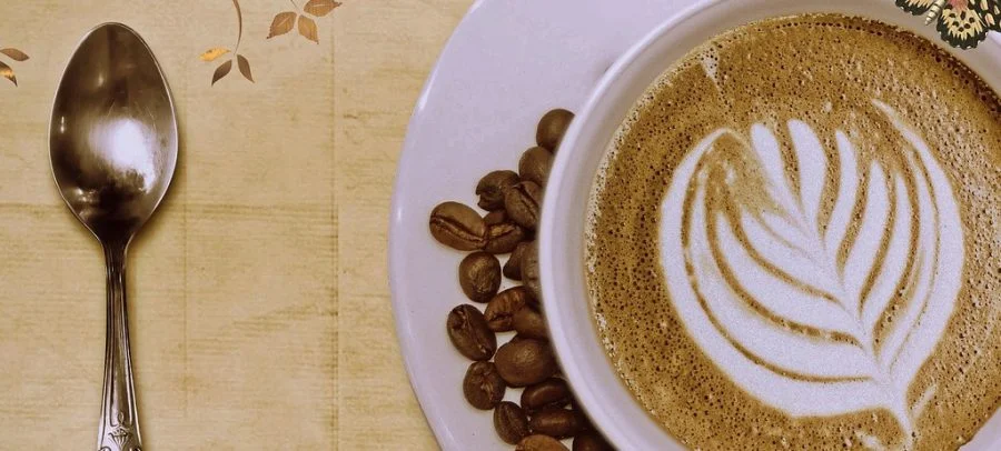cafeteras francesas, cafeteras de filtro por goteo, Como Moler Café para que tu Taza sea la Más Exquisita, moler cafe, forexpros cafe, molinillo, moliendo cafe, cafe cafe, krups, brown, molinillo eléctrico, molinillo cafe manual