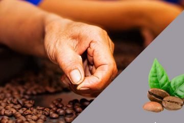 diferencia cafe mezcla y natural, mejor cafe natural o mezcla, cafe natural o mezcla